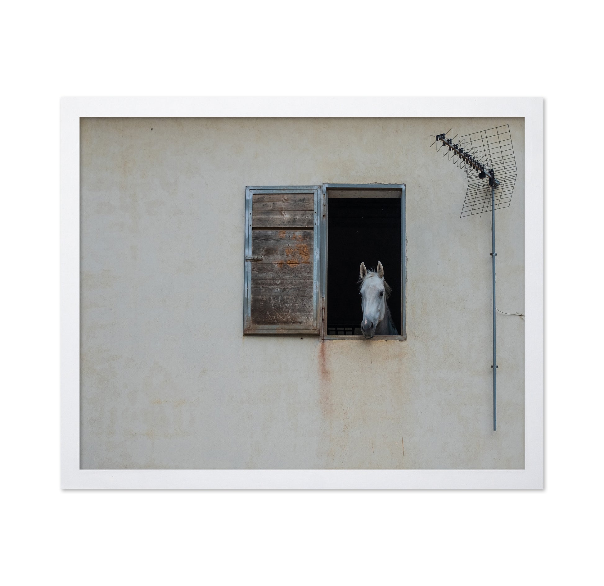 The Window