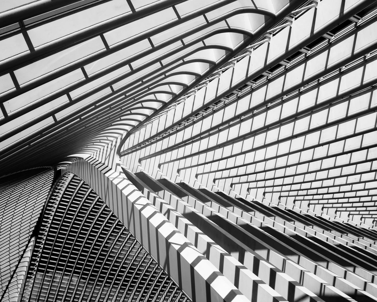 Lines in Liege