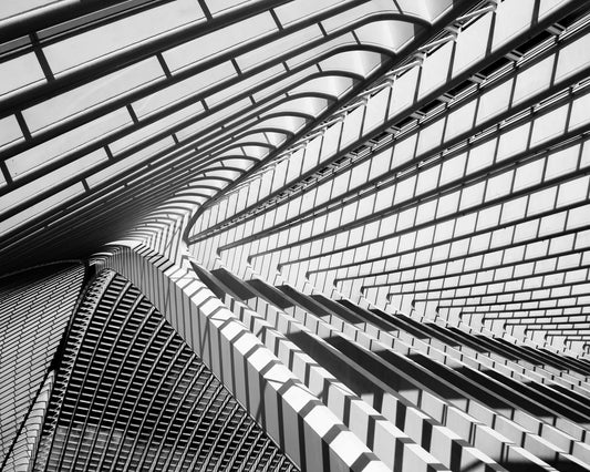 Lines in Liege