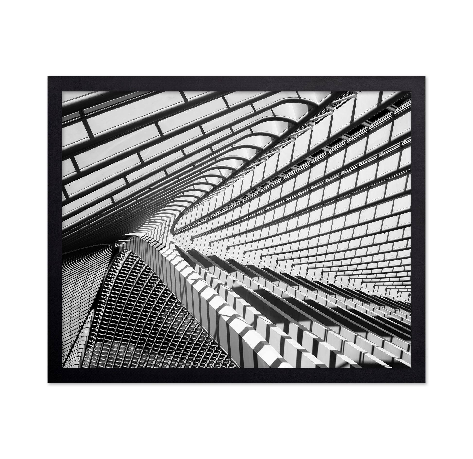 Lines in Liege