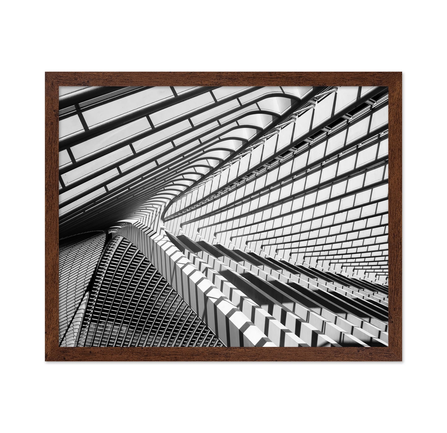 Lines in Liege