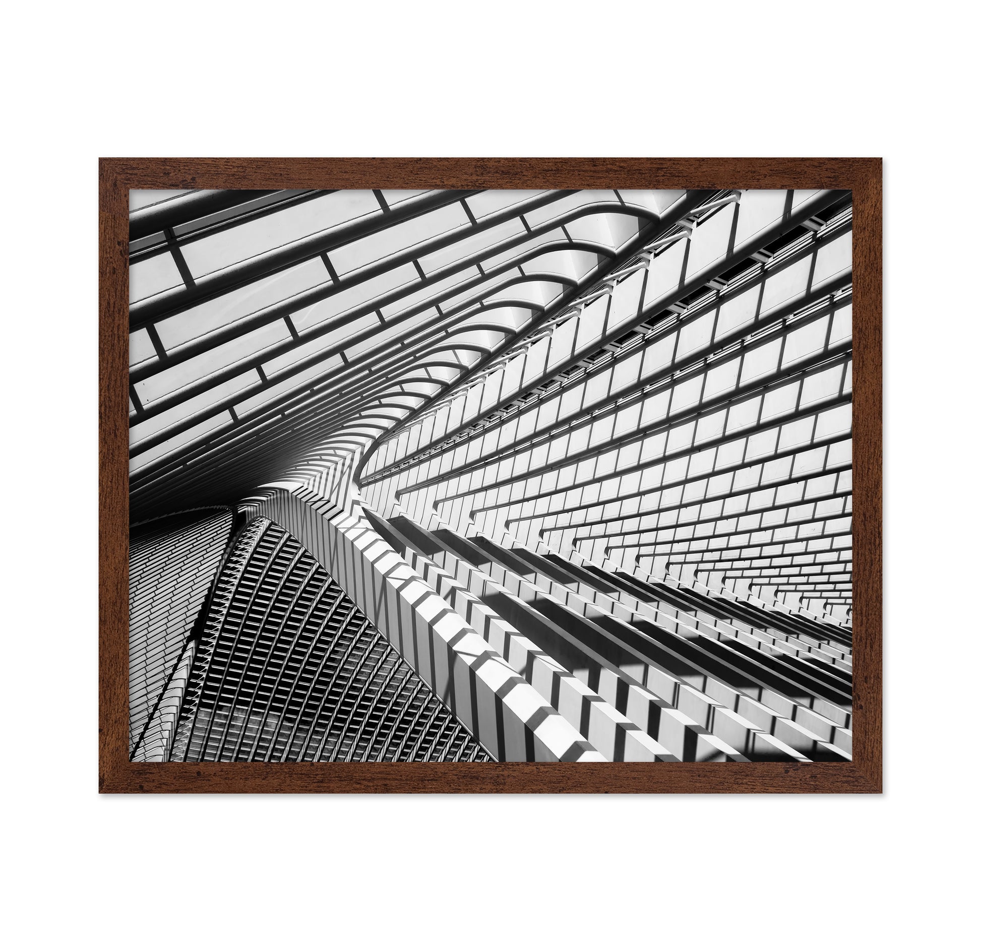 Lines in Liege
