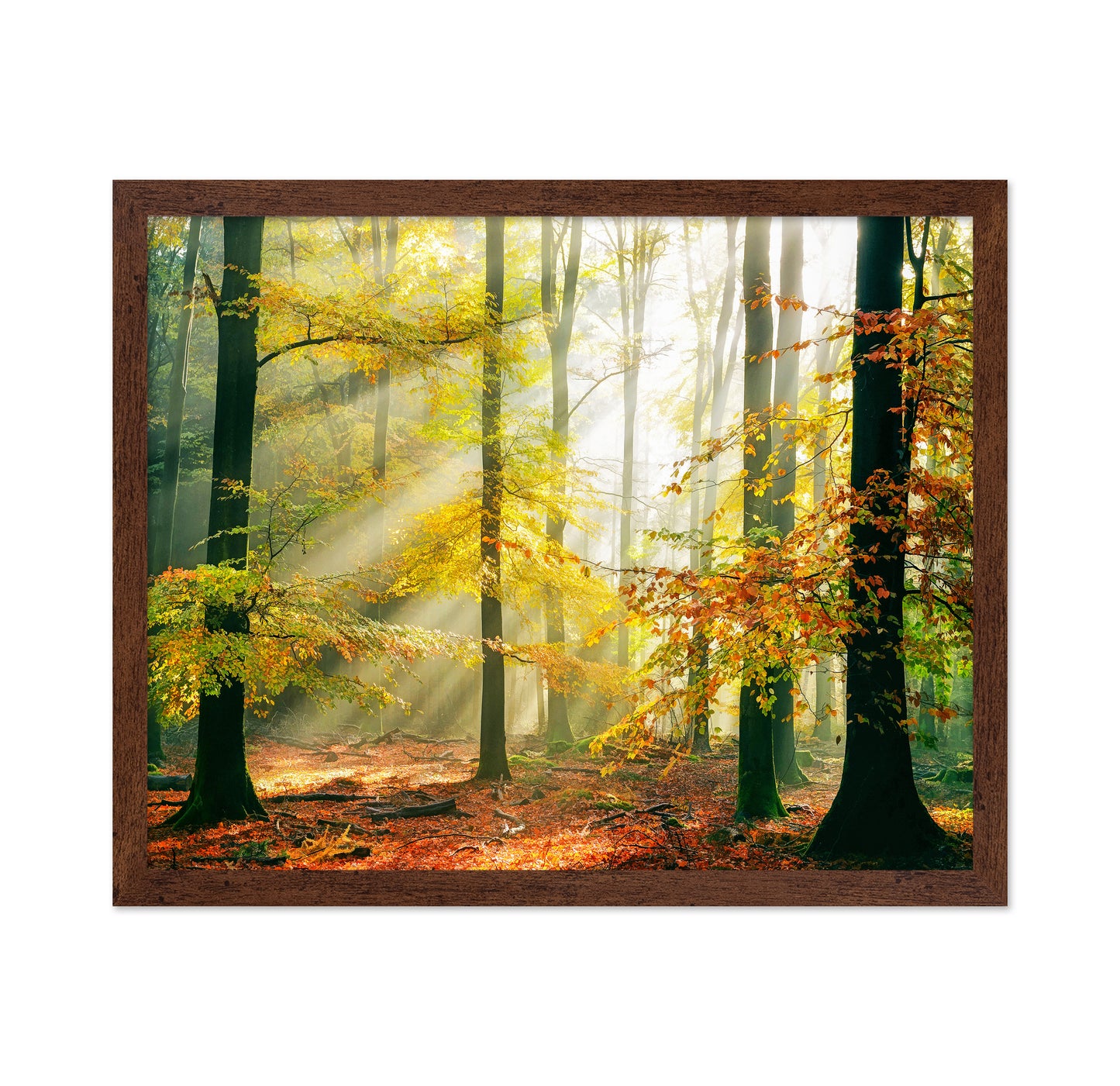 Forest Symphony