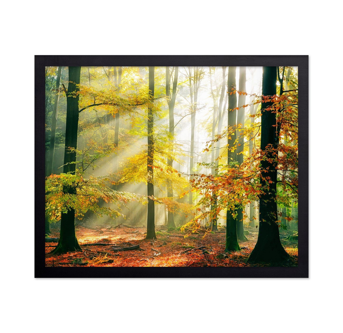 Forest Symphony