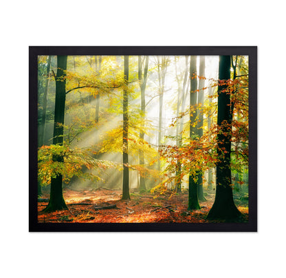 Forest Symphony