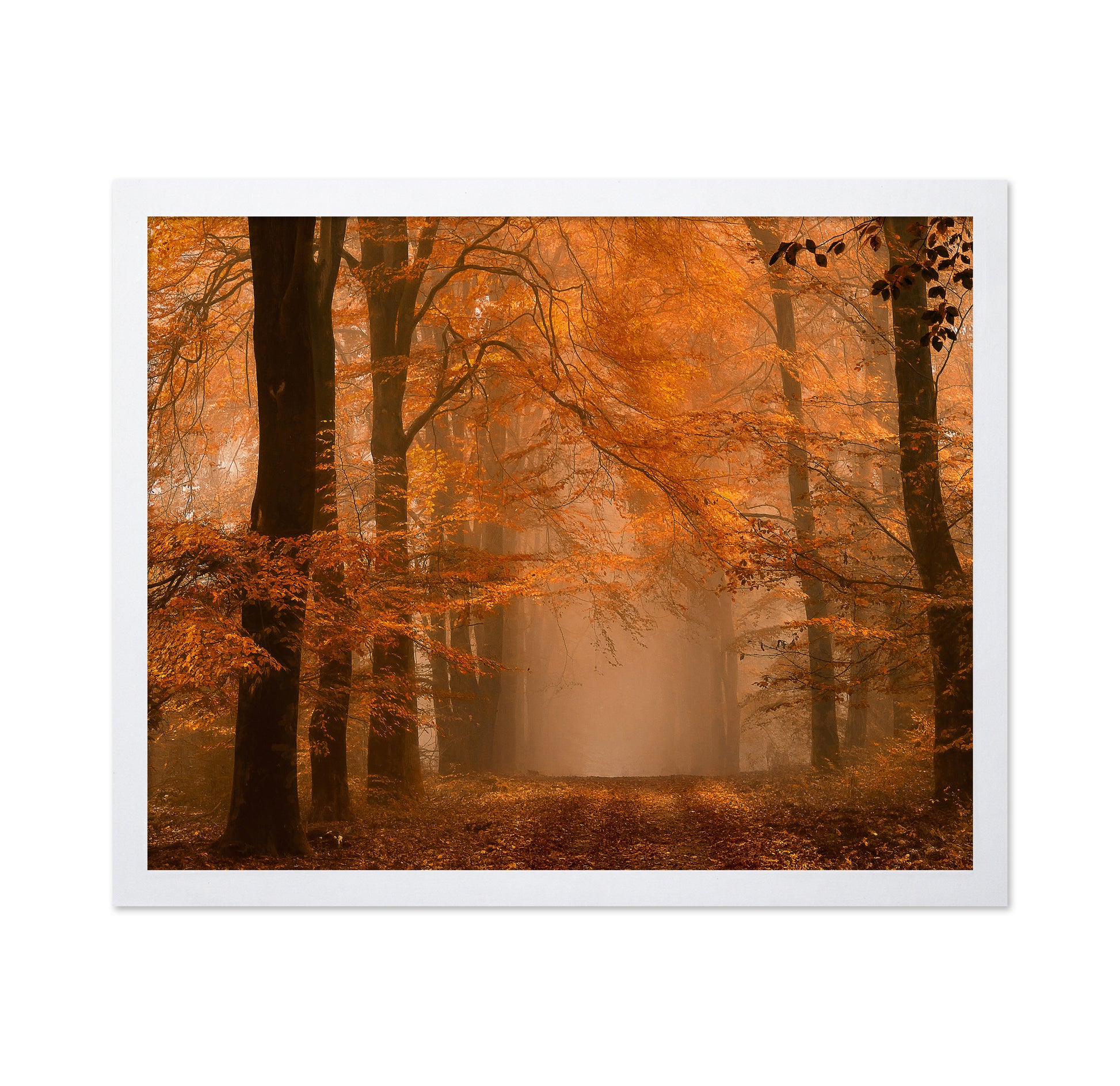 Schmorgenforgen