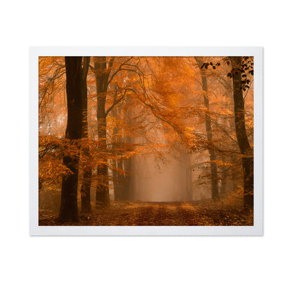 Schmorgenforgen