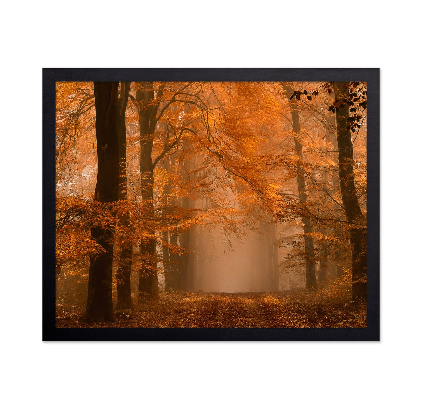 Schmorgenforgen