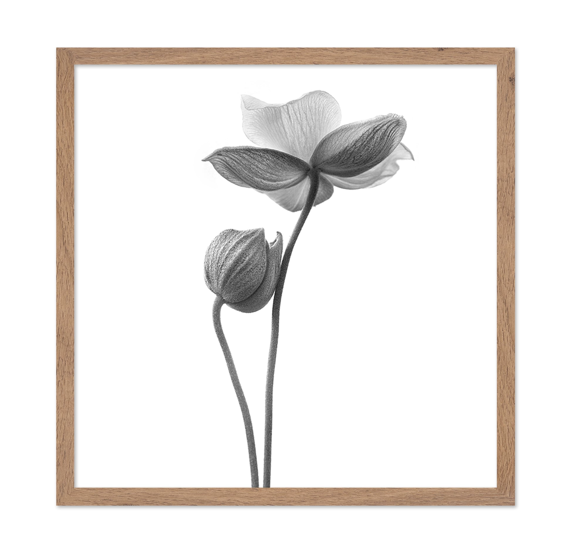 A Little Touch - Monochrome