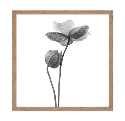 A Little Touch - Monochrome