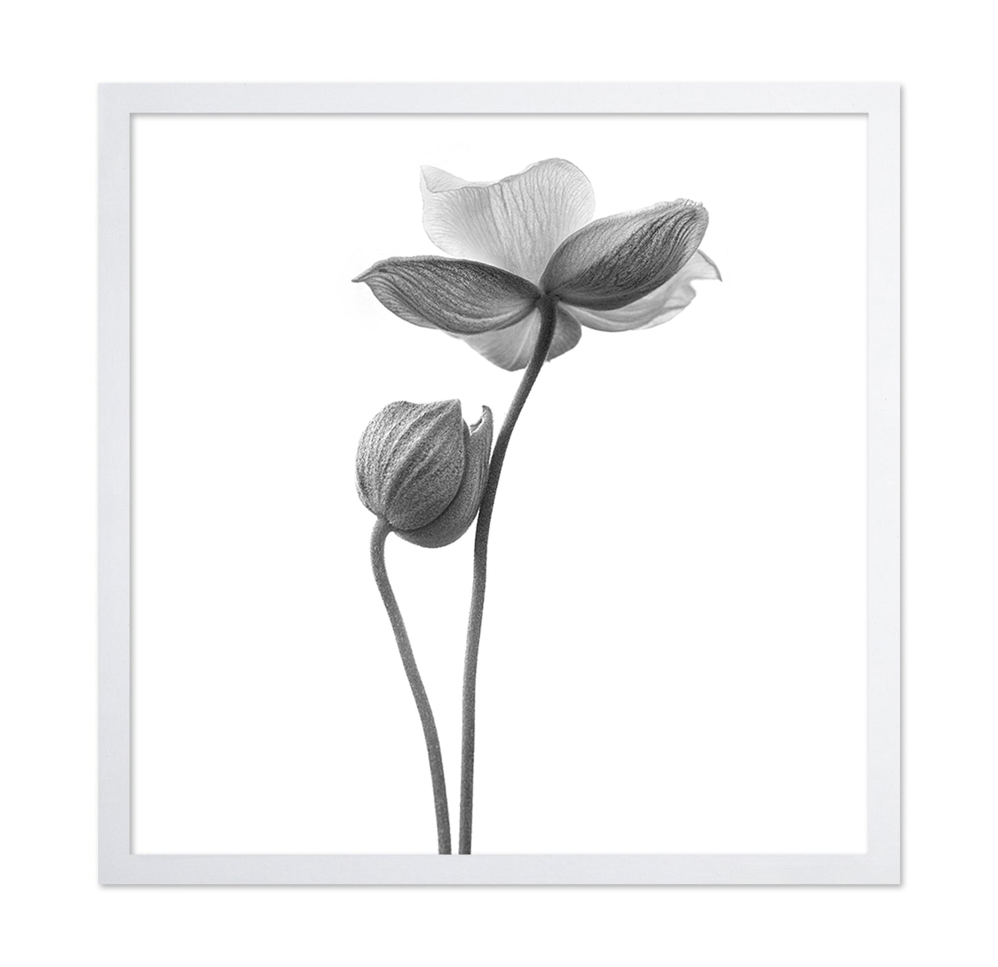 A Little Touch - Monochrome