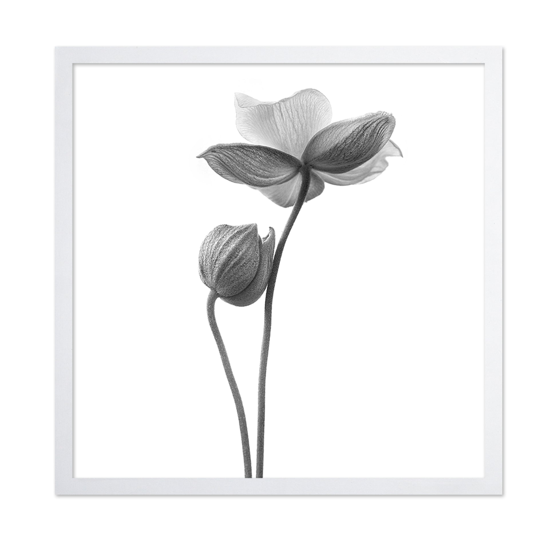 A Little Touch - Monochrome