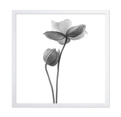 A Little Touch - Monochrome