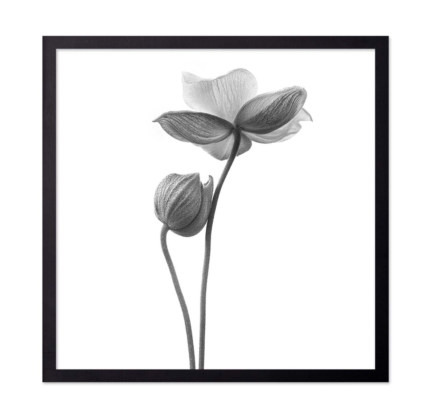 A Little Touch - Monochrome