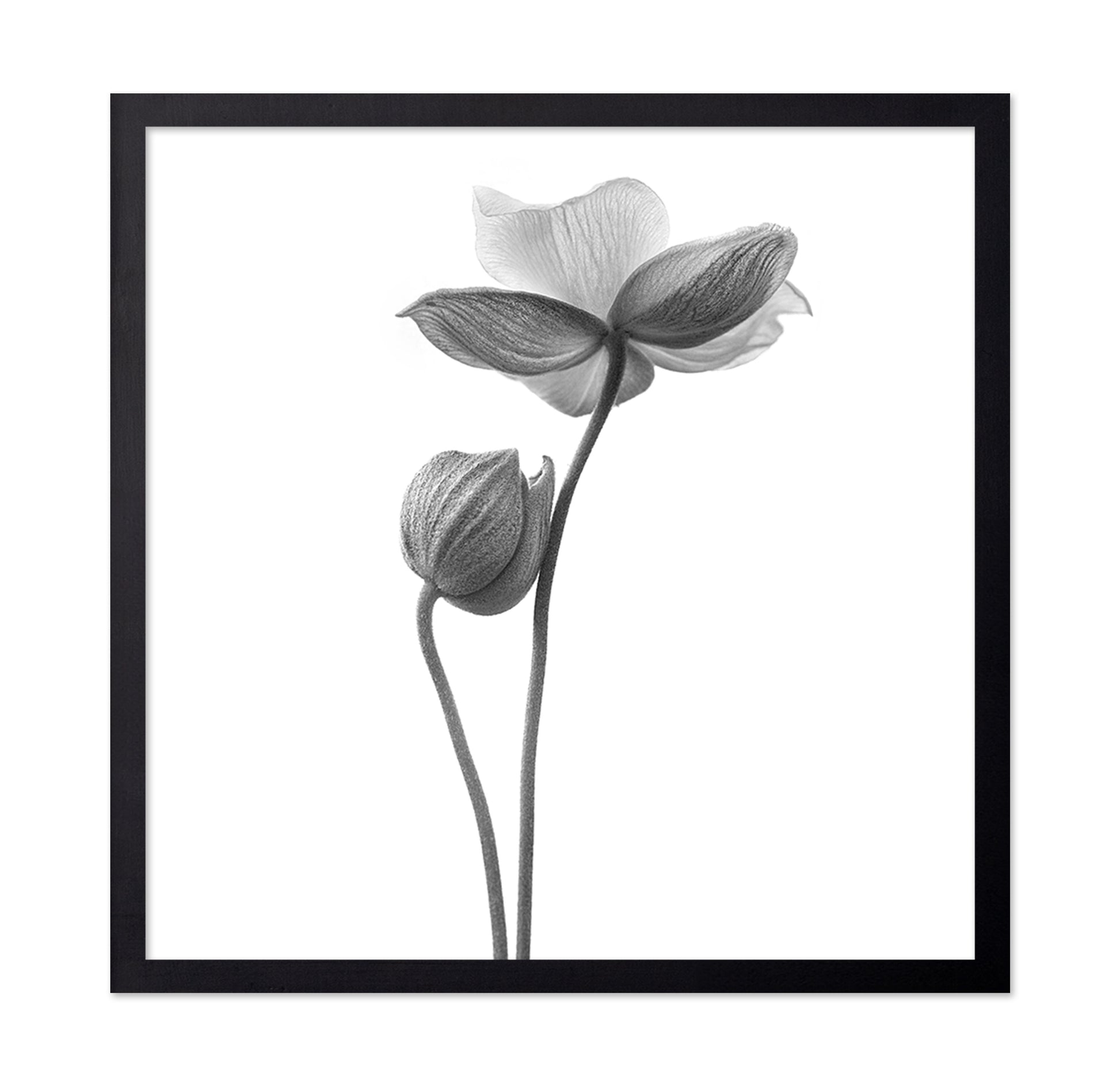 A Little Touch - Monochrome