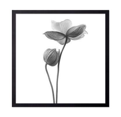 A Little Touch - Monochrome