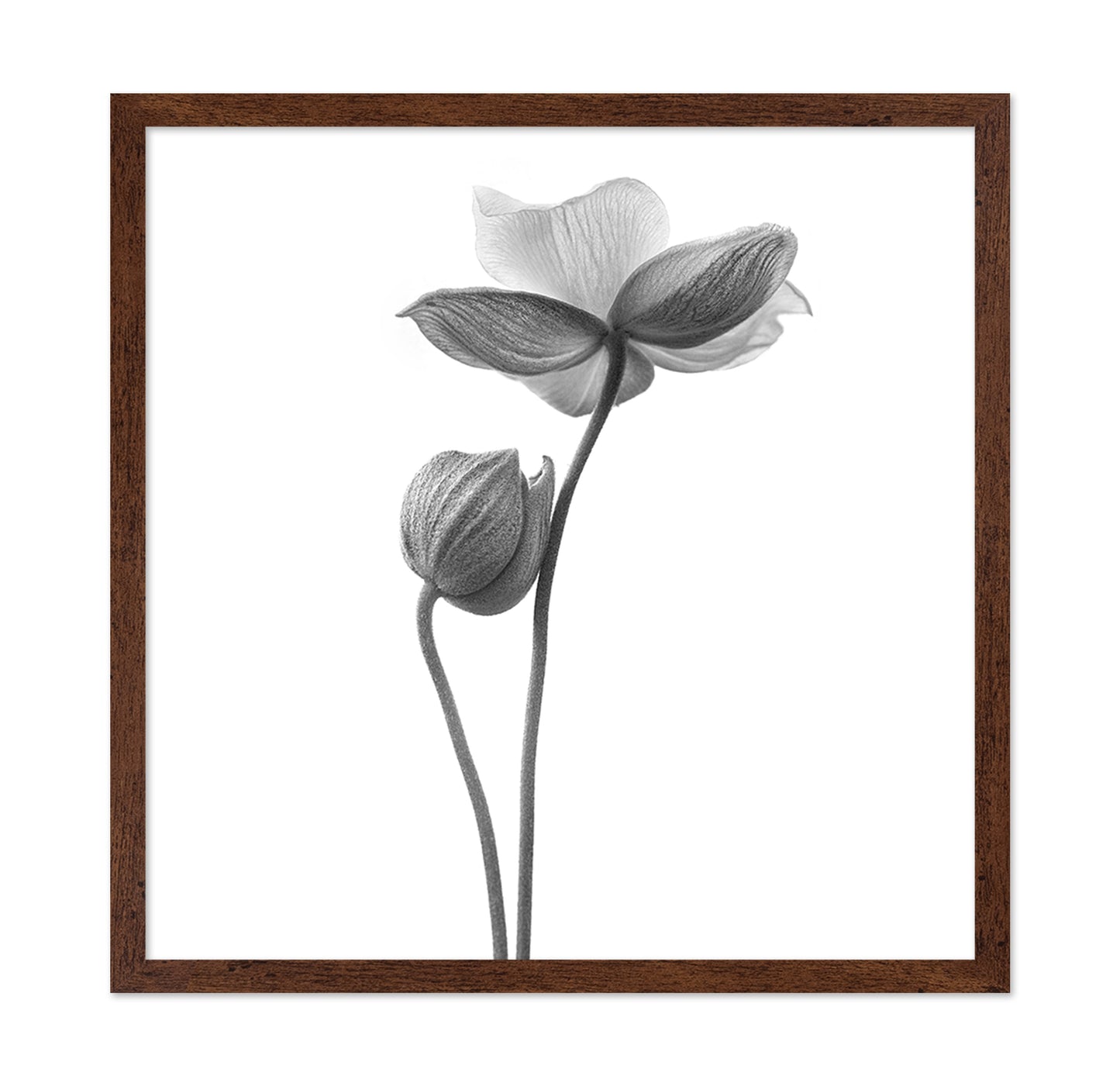 A Little Touch - Monochrome