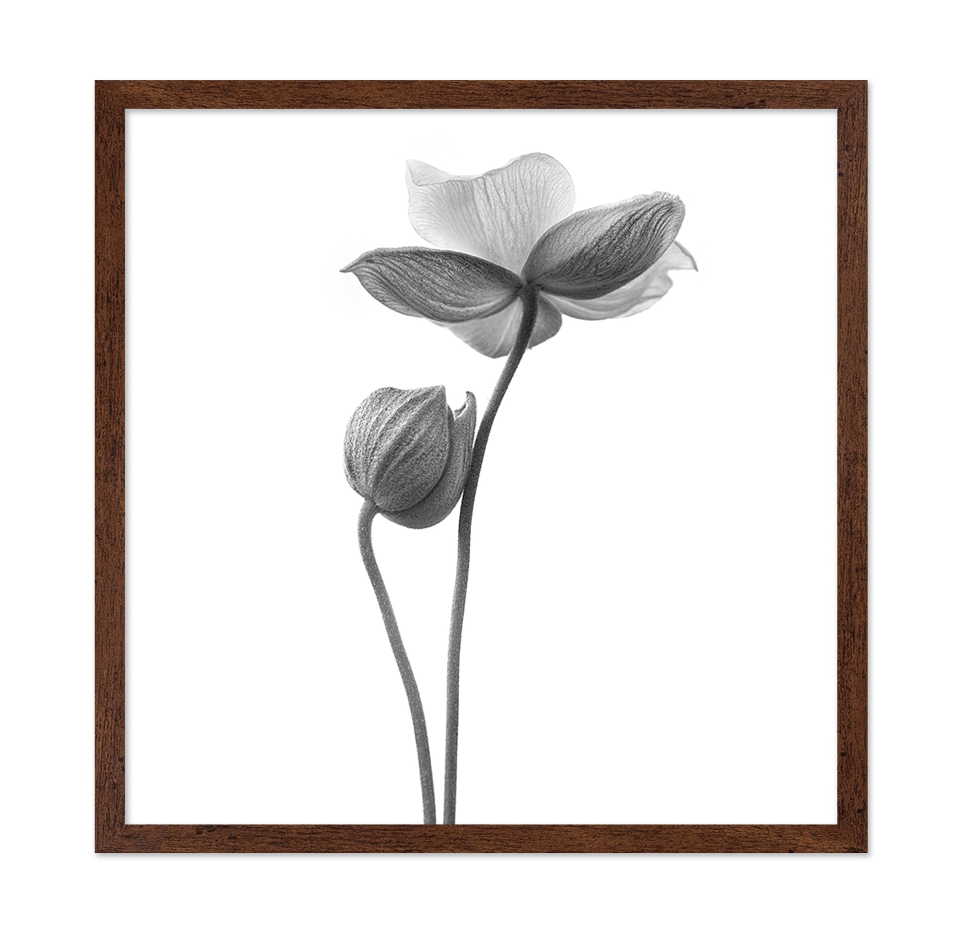 A Little Touch - Monochrome