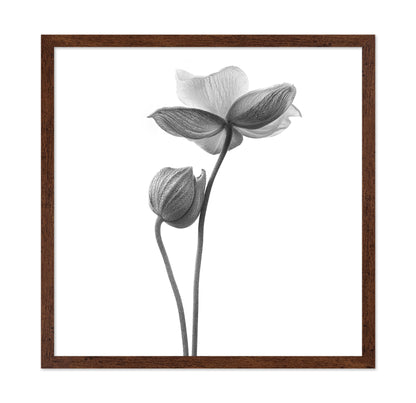A Little Touch - Monochrome