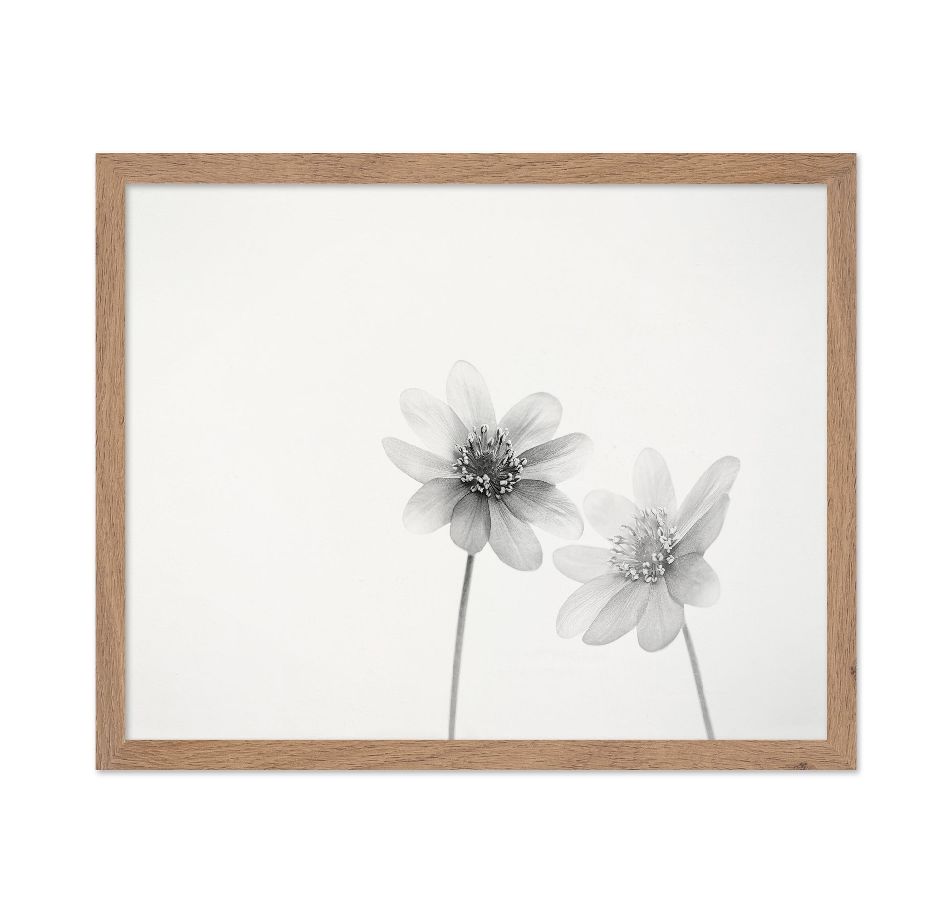Two Small Flowers