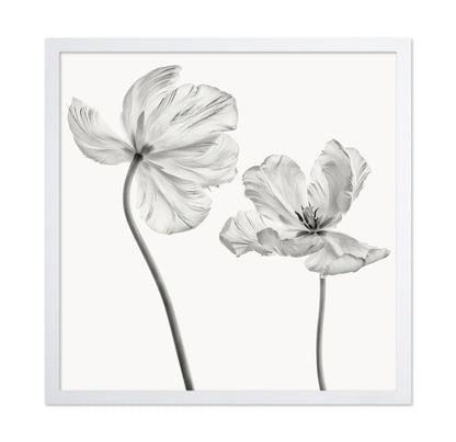 Same Tulip Front And Backview