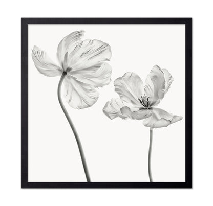 Same Tulip Front And Backview