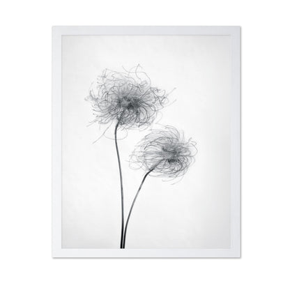 Seed Heads No 2