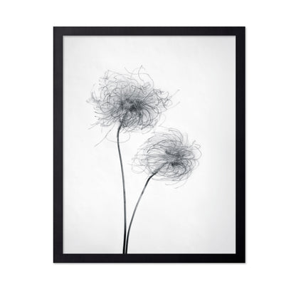 Seed Heads No 2