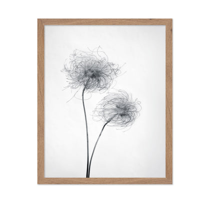 Seed Heads No 2