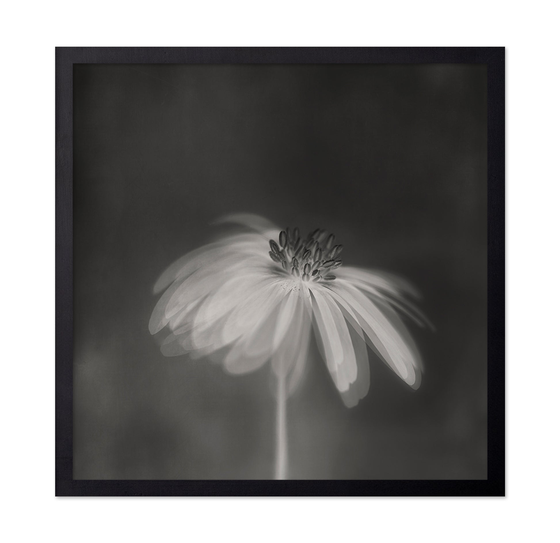Dark Sepia