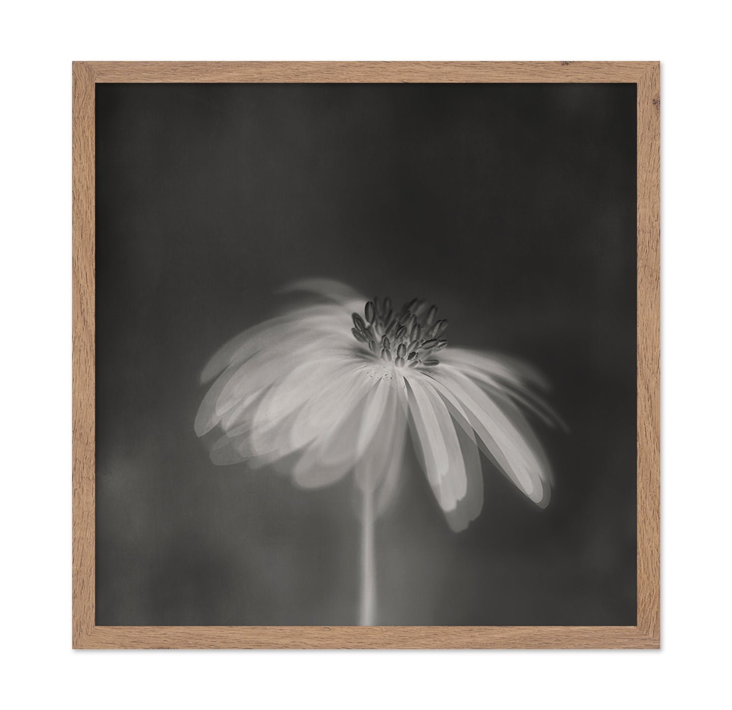 Dark Sepia