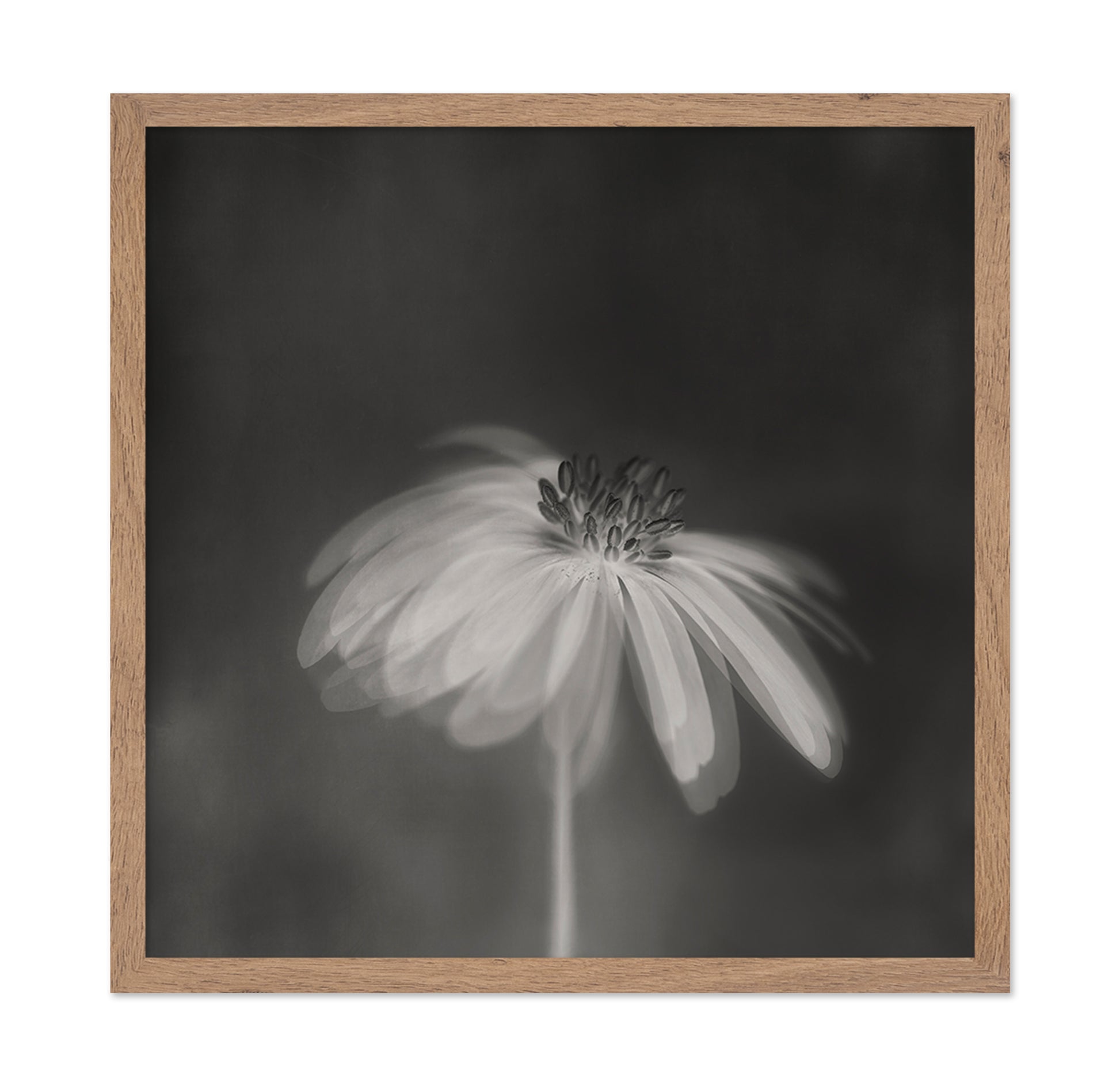 Dark Sepia