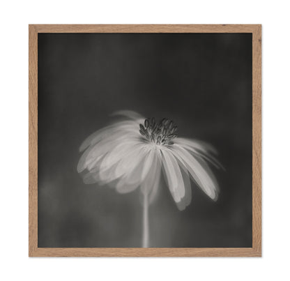 Dark Sepia