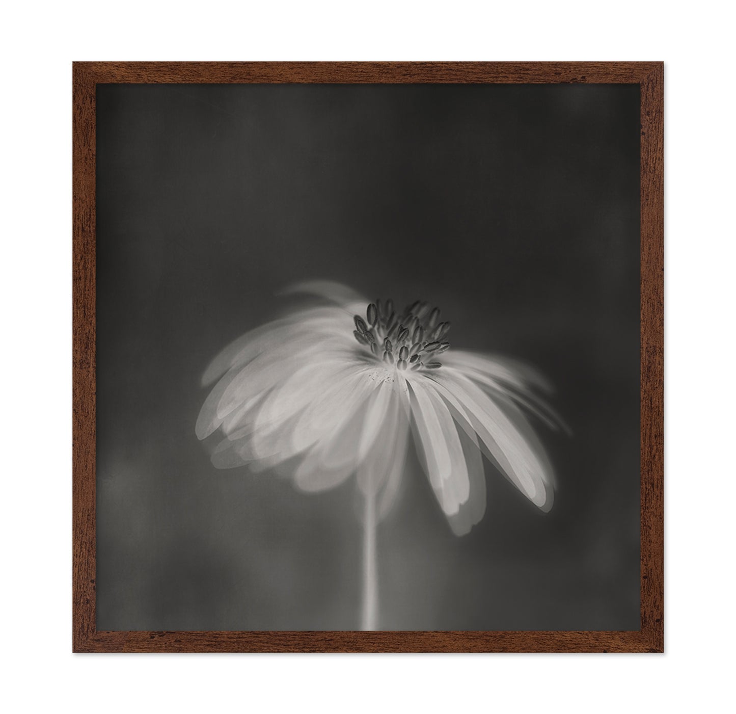 Dark Sepia