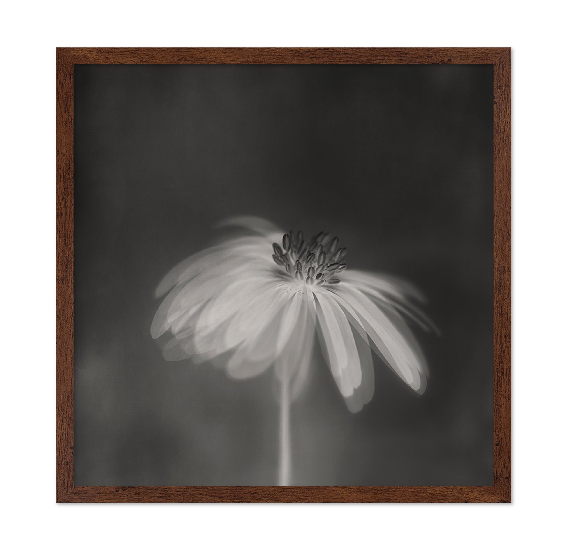 Dark Sepia