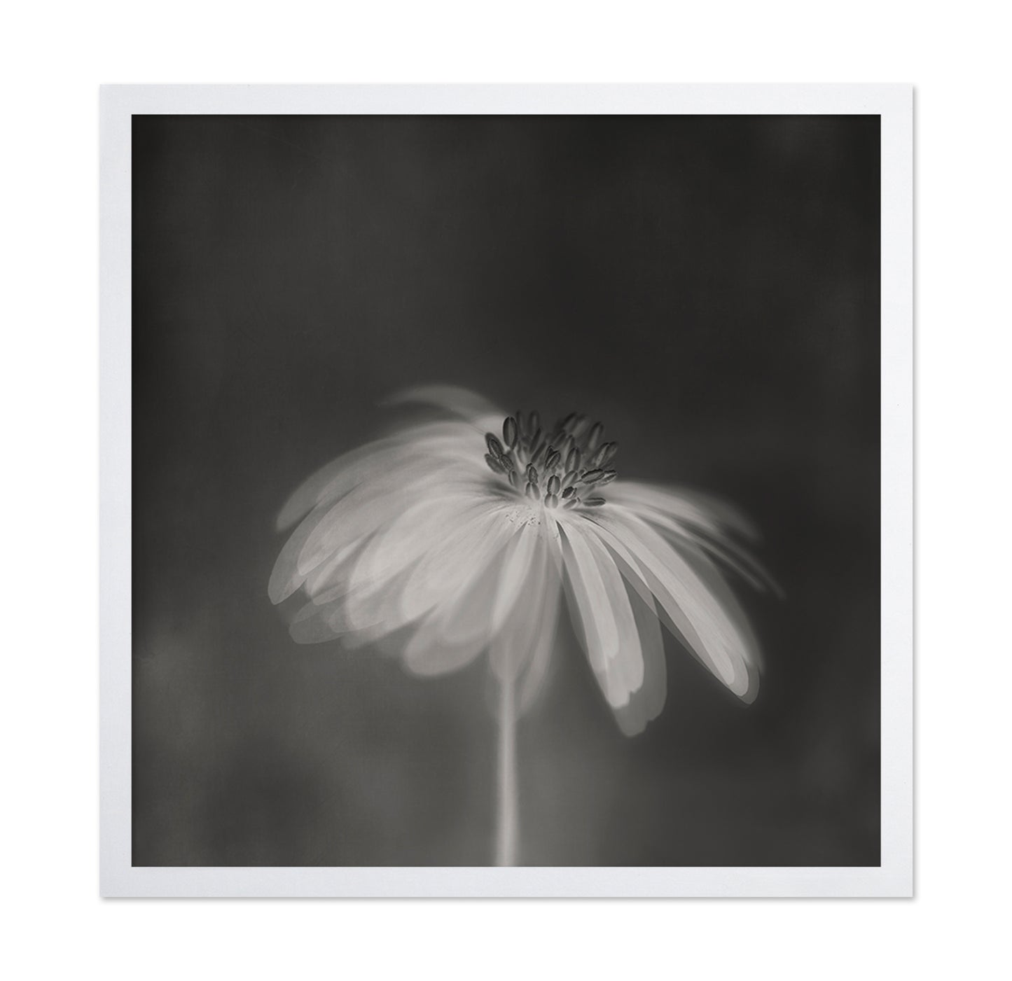 Dark Sepia