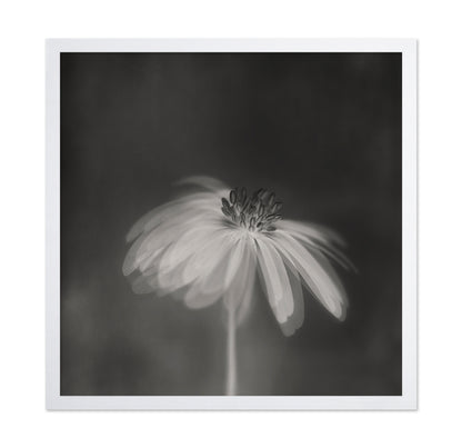 Dark Sepia