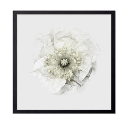 Yet Another Poppy