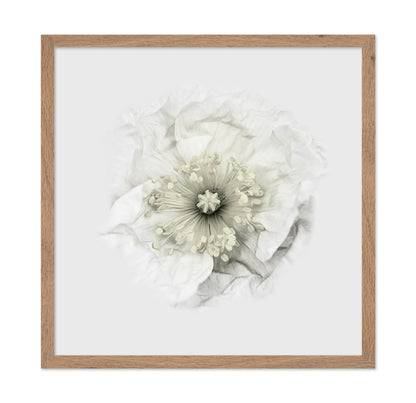 Yet Another Poppy