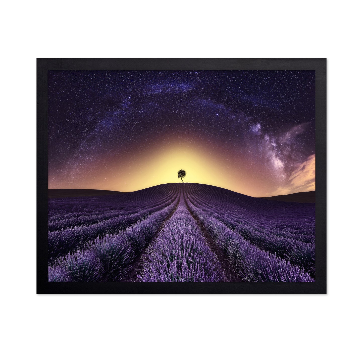 Lavender Field Under A Starry Sky