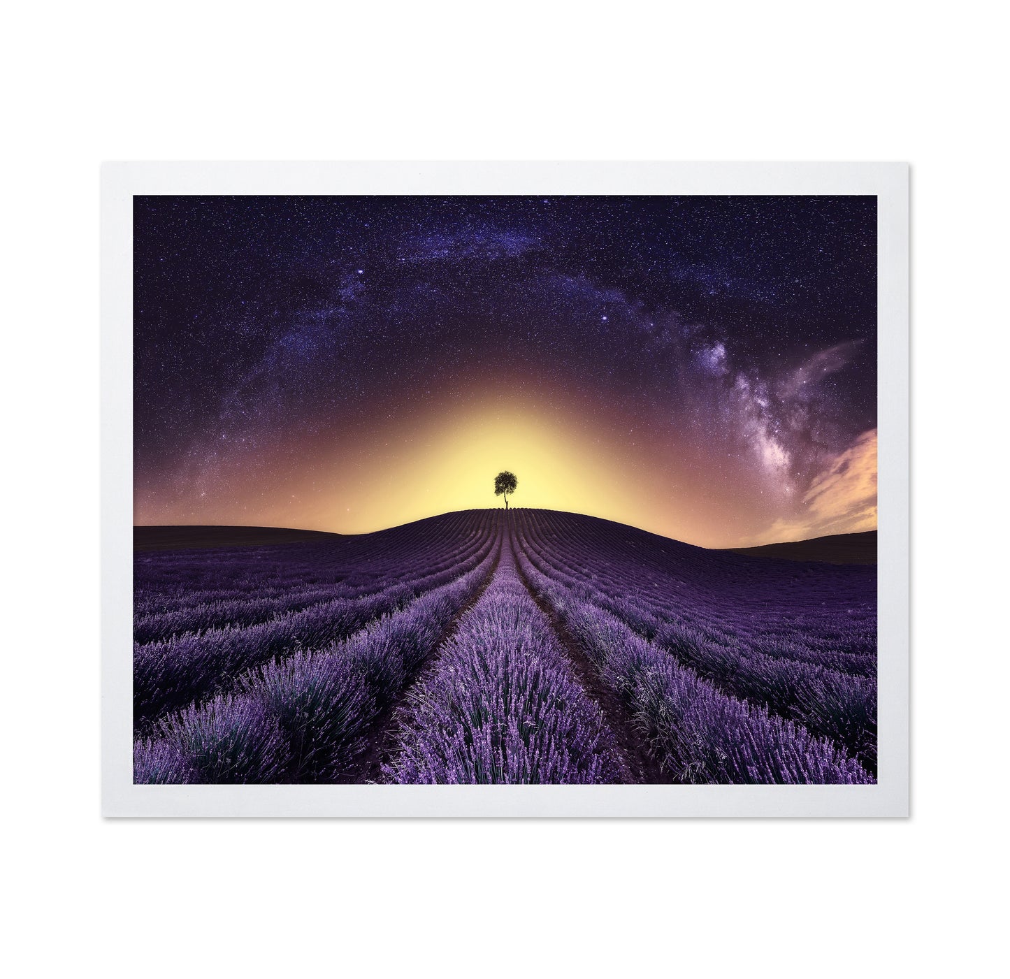Lavender Field Under A Starry Sky