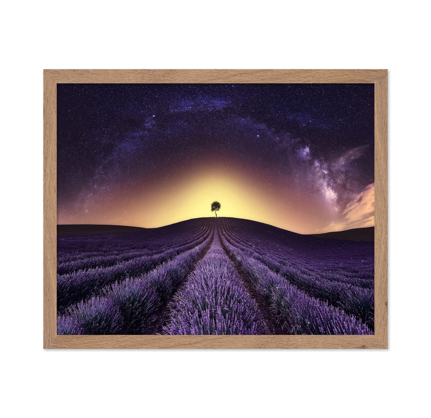 Lavender Field Under A Starry Sky