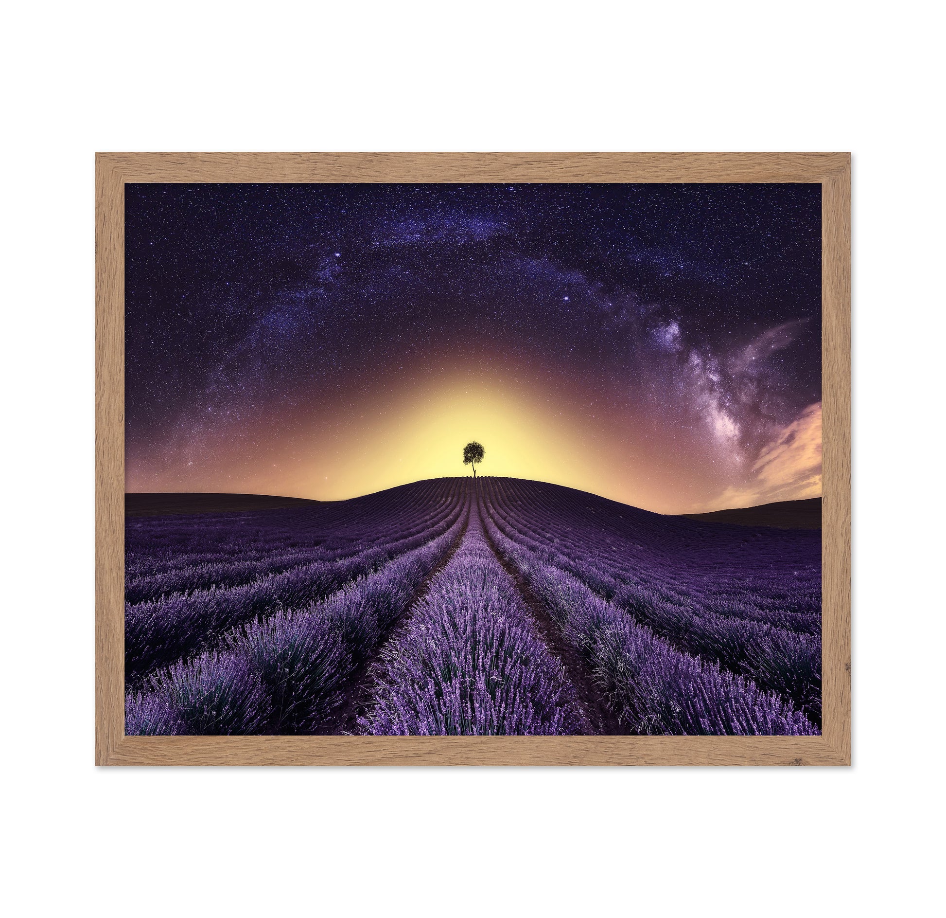 Lavender Field Under A Starry Sky