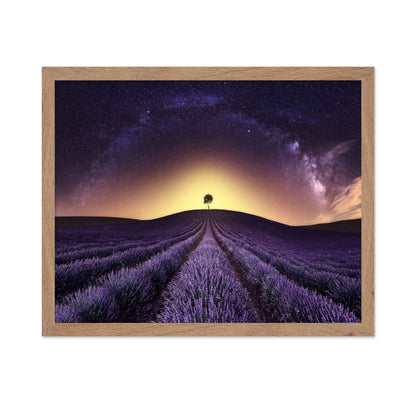 Lavender Field Under A Starry Sky