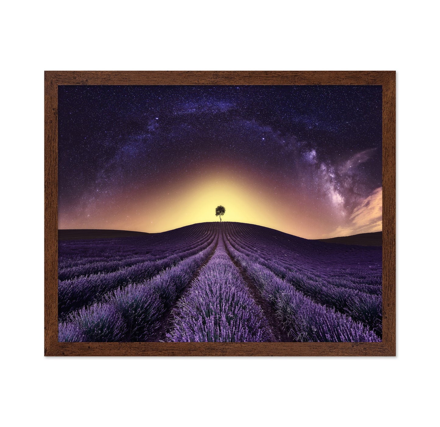 Lavender Field Under A Starry Sky