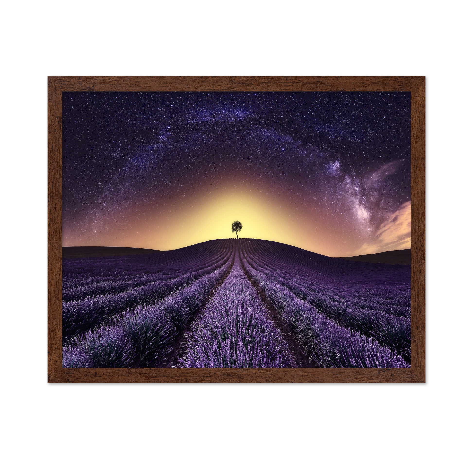 Lavender Field Under A Starry Sky