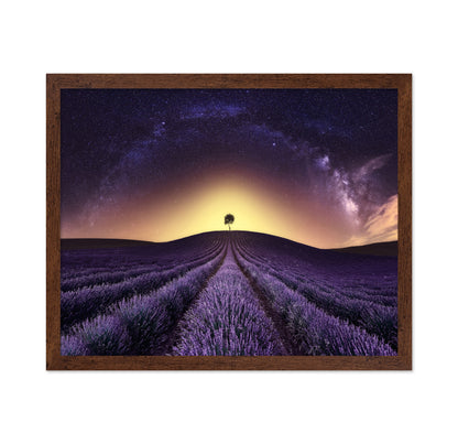 Lavender Field Under A Starry Sky