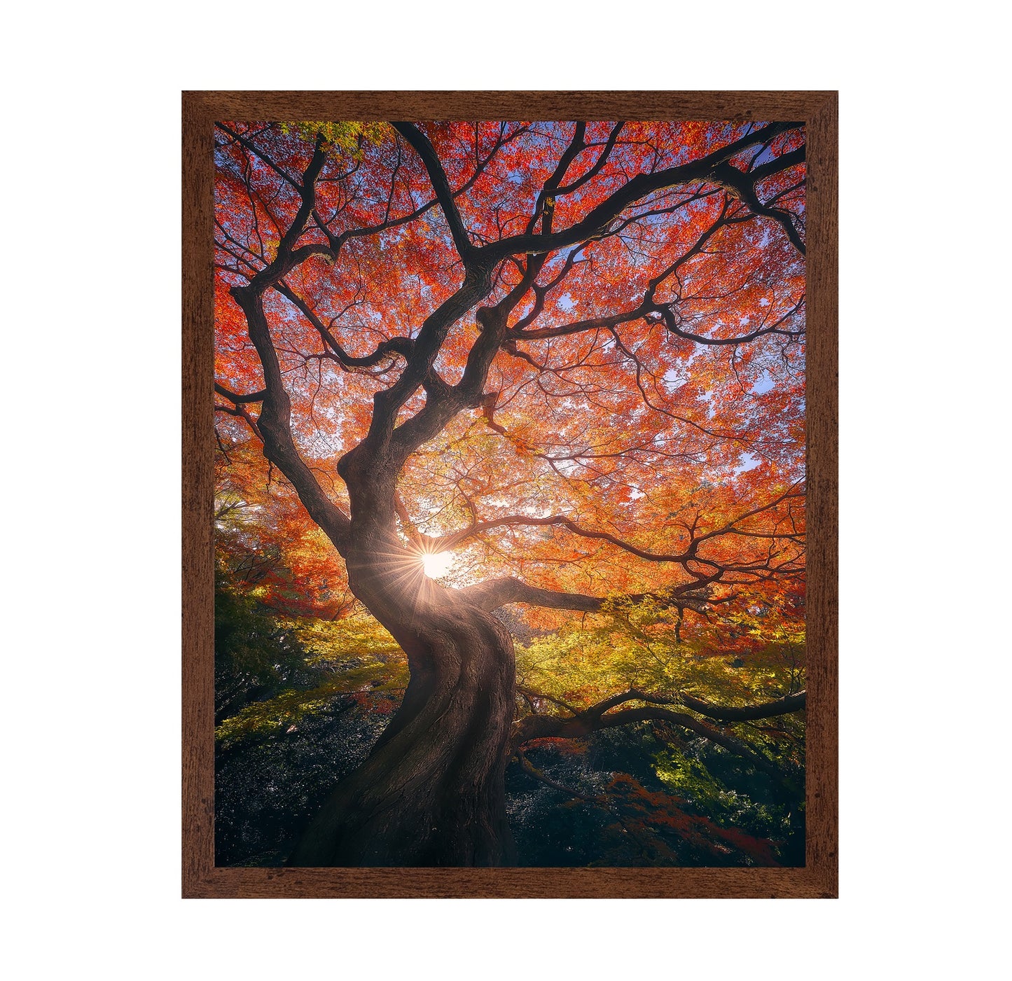 The Japanese Tree