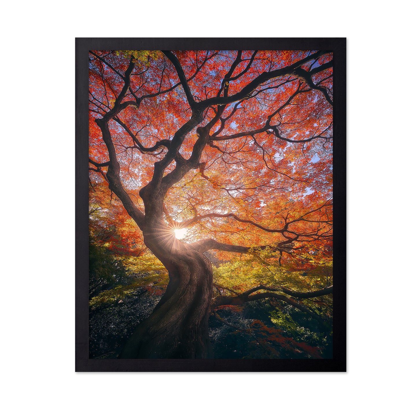 The Japanese Tree
