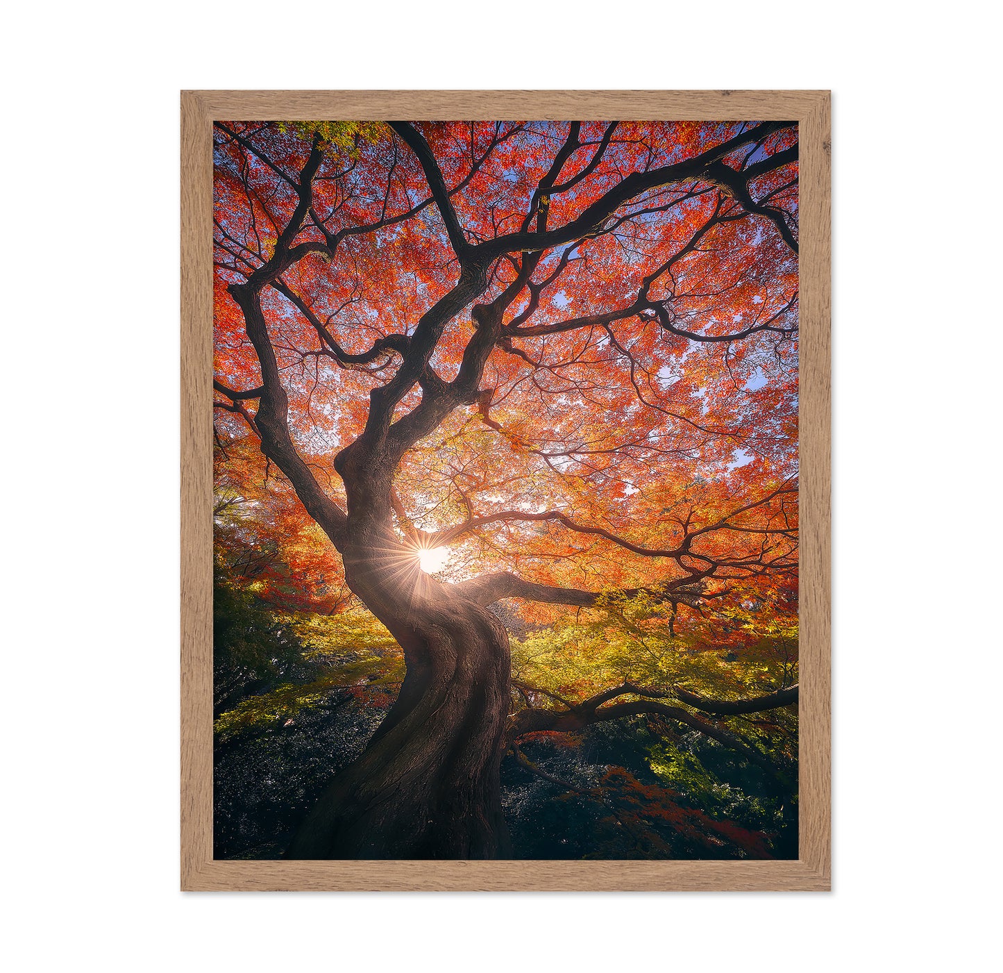 The Japanese Tree